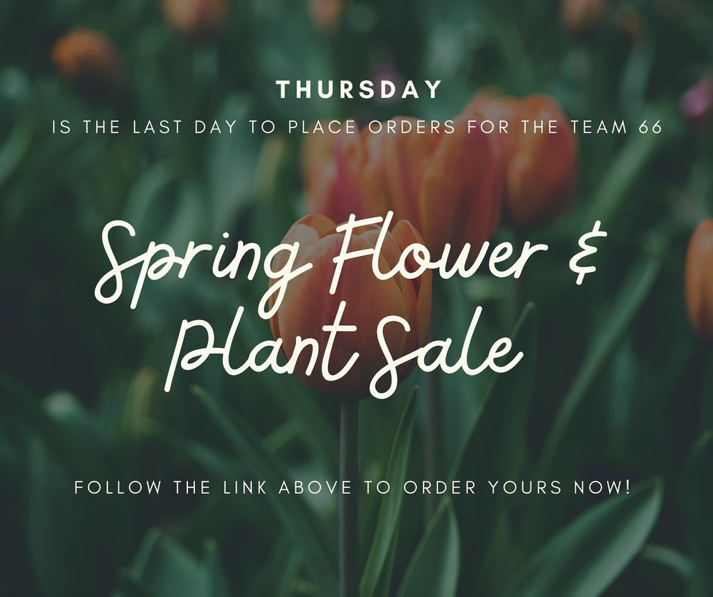 Tulips that reads Thursday is the the last day to place orders for the TEAM 66 Spring Flower & Plant Sale Follow the link above to order yours now!