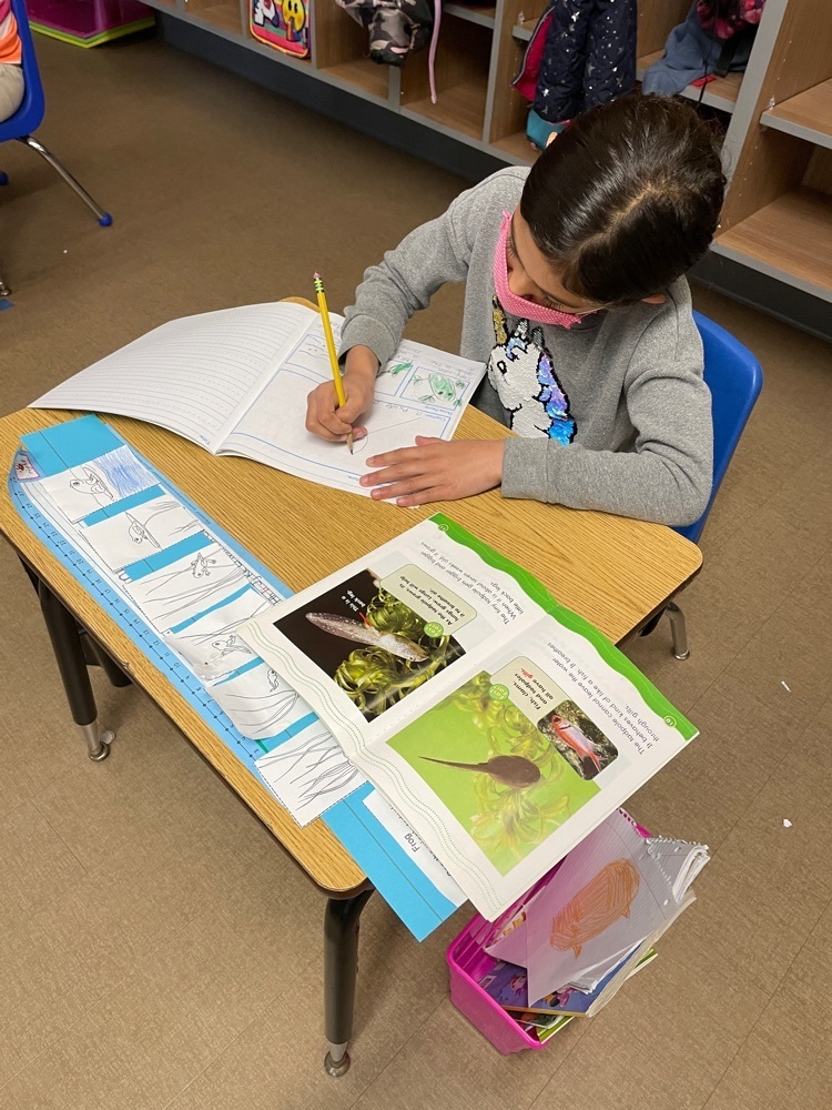 informational writing about frogs 