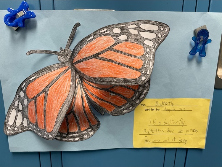 fourth grade butterfly haiku poems
