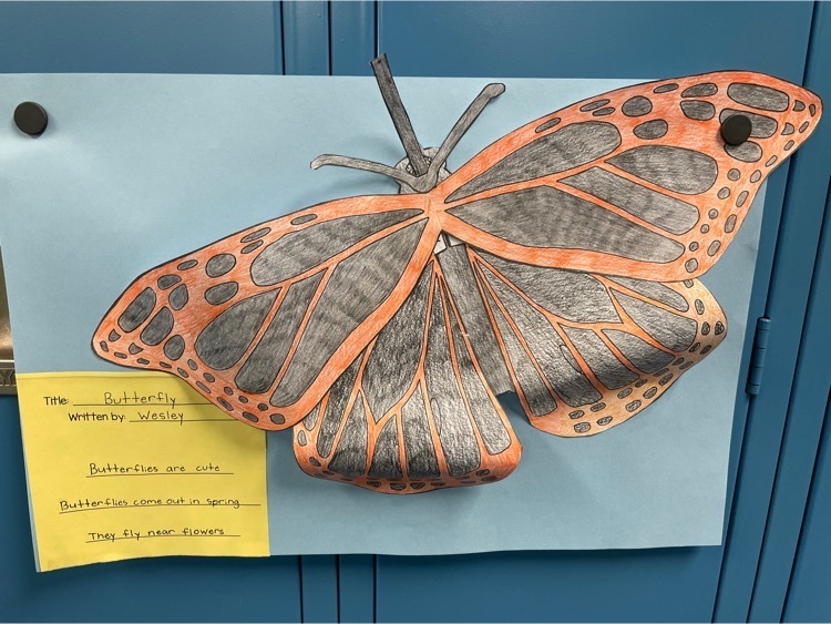 butterfly haiku poems