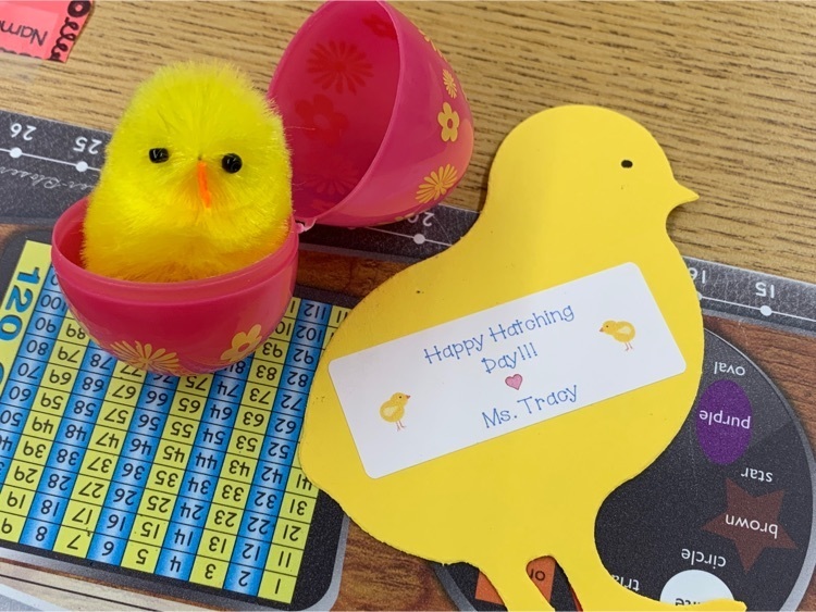 Hatching Day!