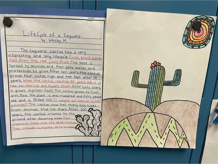 Cactus Hotel