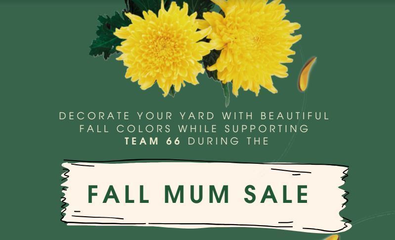 yellow mums reads decorate your yard with beautiful fall colors while supporting team66 during the fall mum sale