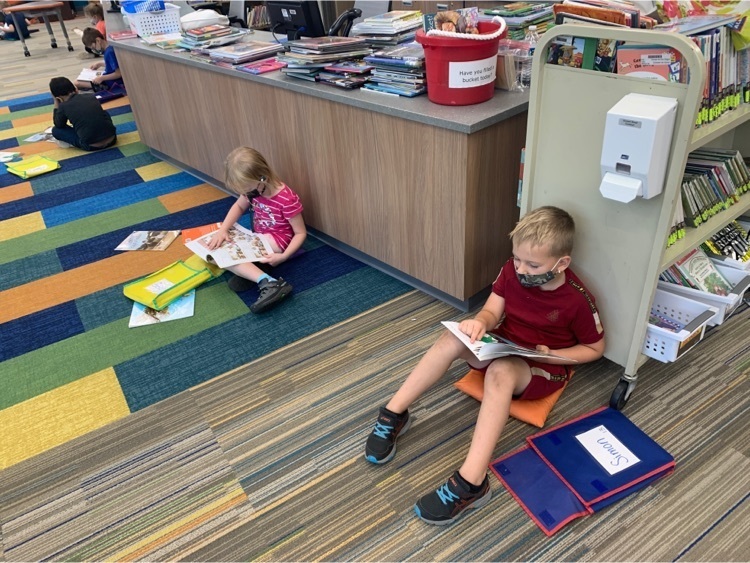reading in the library