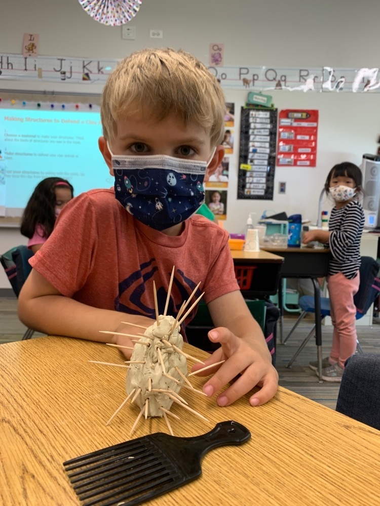 science models