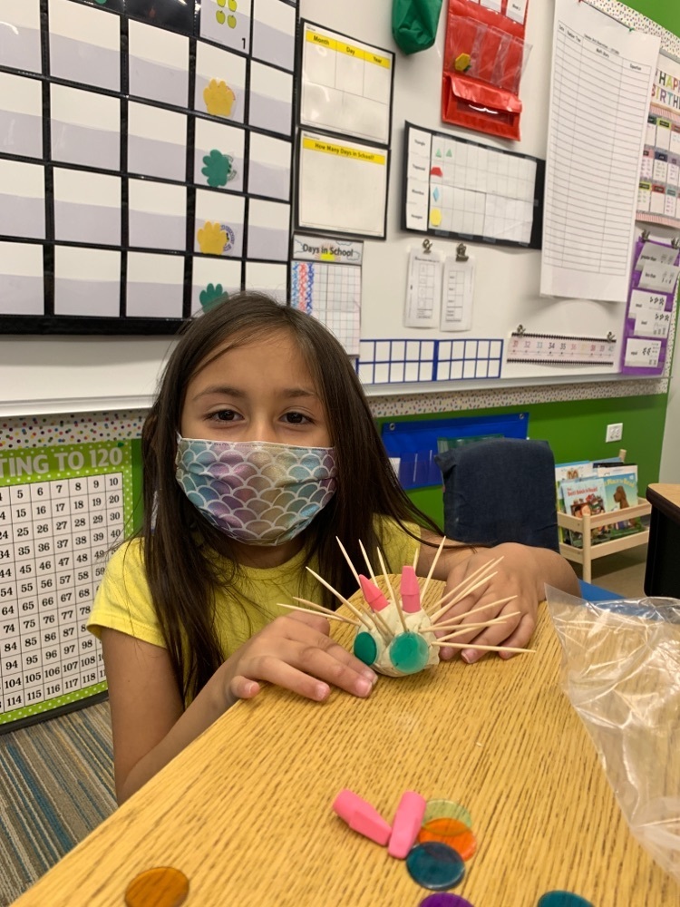 making a model of animals structures