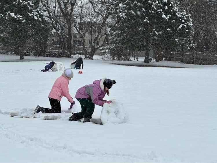snow 3